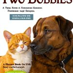 Two Bobbies DVD by Nutmeg Media 20 Minute Short Film NTSC Format-0